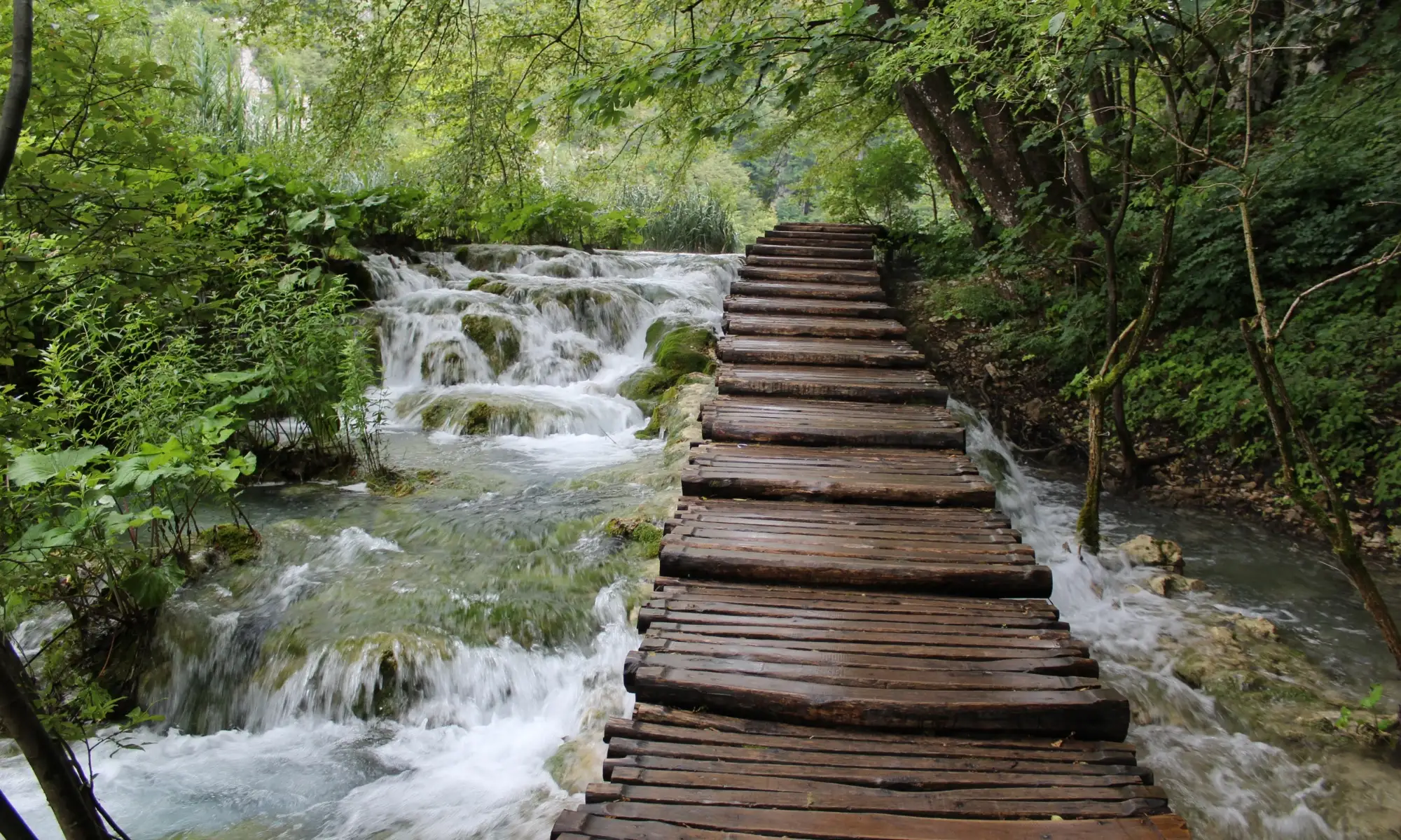 Walking path in Plitvice National Park