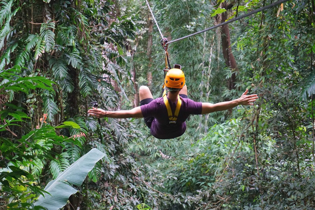 zipline in the wood amoung trees